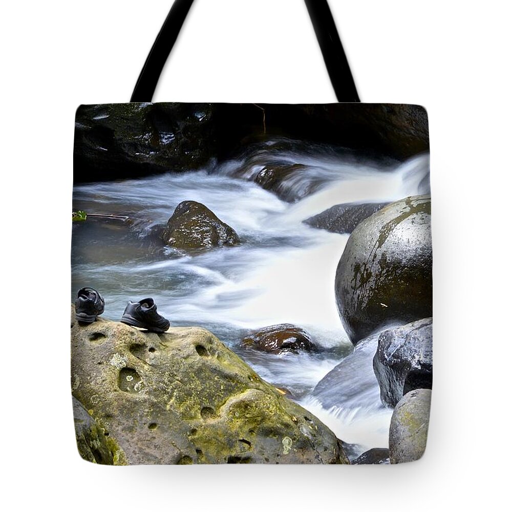 Annadale Waterfall Tote Bag featuring the photograph Gone Exploring by Laura Forde