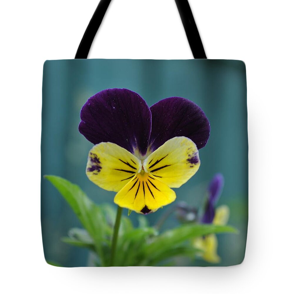 Flower Tote Bag featuring the photograph Good Morning by Jim Hogg