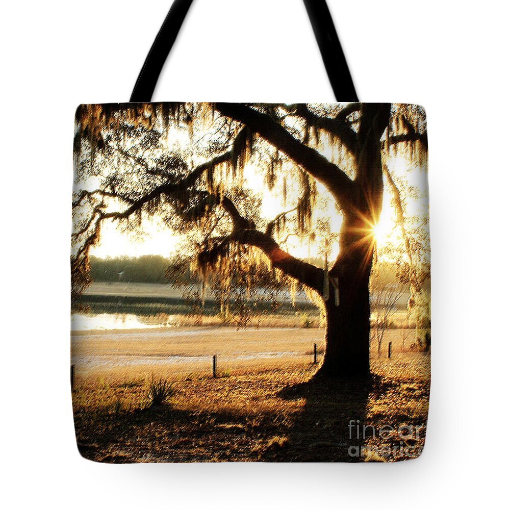 Morning Tote Bag featuring the photograph Good Morning Mossy Oak by Janis Lee Colon