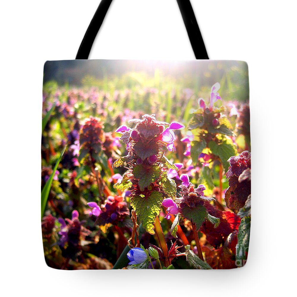 Meadow Tote Bag featuring the photograph Good Morning by Nina Ficur Feenan