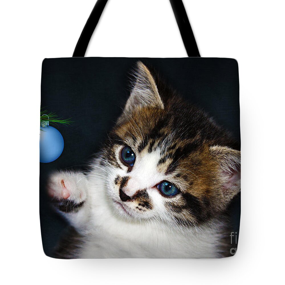 Christmas Tote Bag featuring the photograph Gorgeous Christmas Kitten by Terri Waters