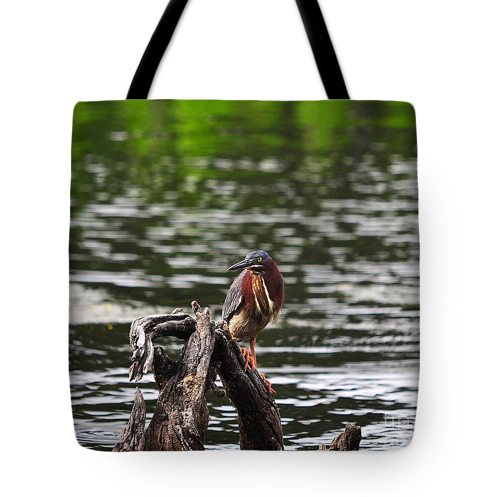 Heron Tote Bag featuring the photograph Gorgeous Green Heron by Al Powell Photography USA