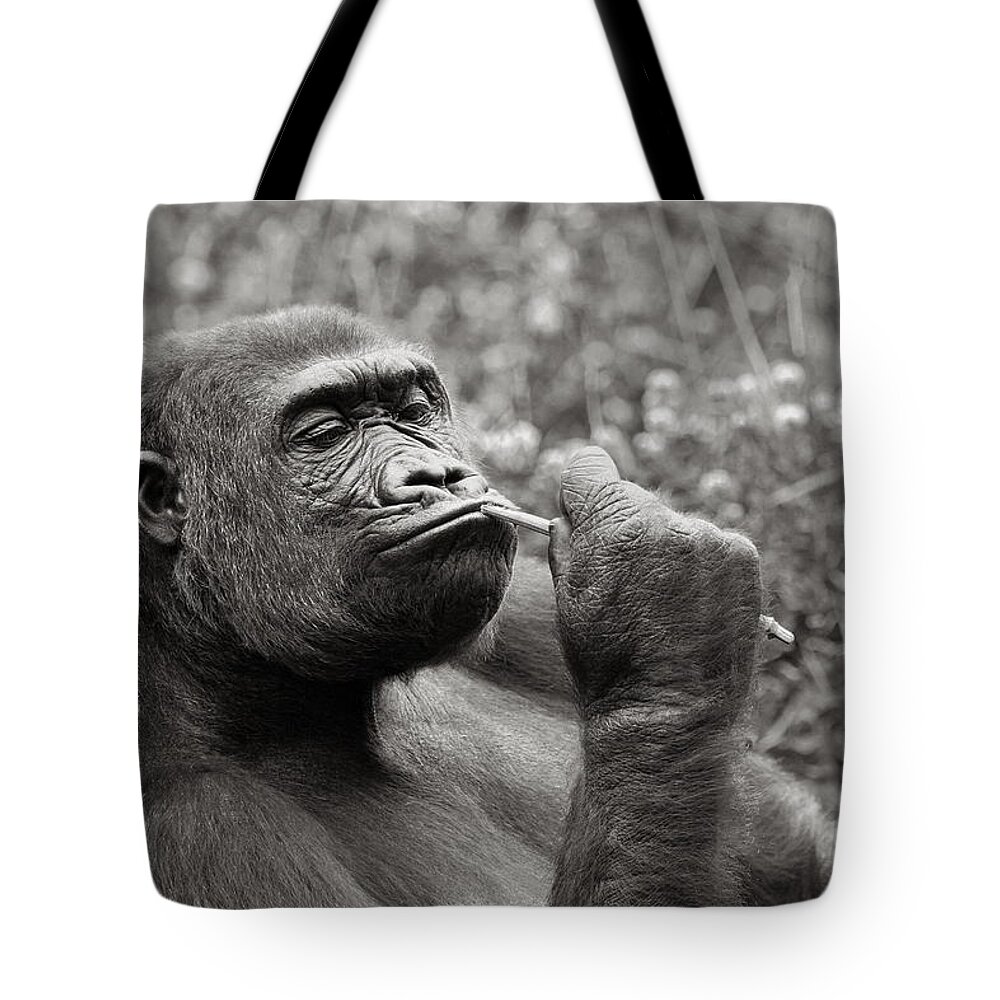 Gorilla Tote Bag featuring the photograph Gorilla Deep in Thought - Black and White by Angela Rath