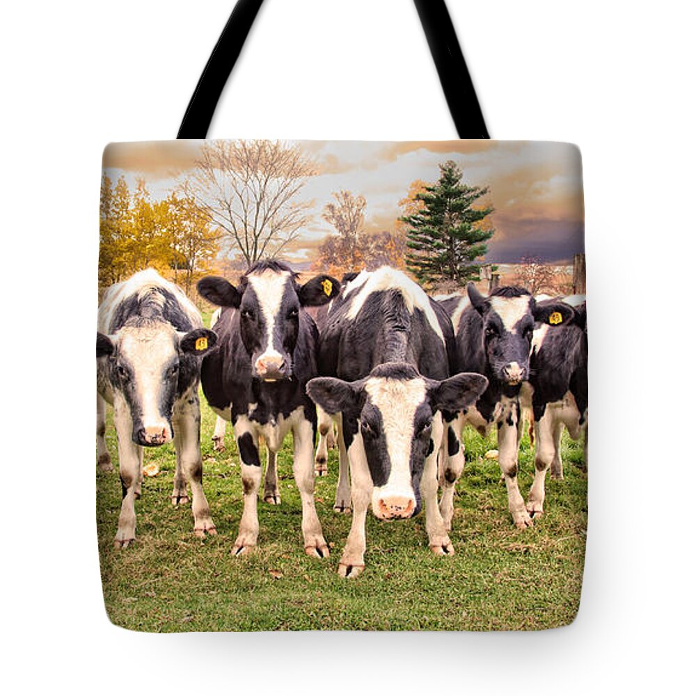 Cows Tote Bag featuring the photograph Got Grain? by Jan Killian