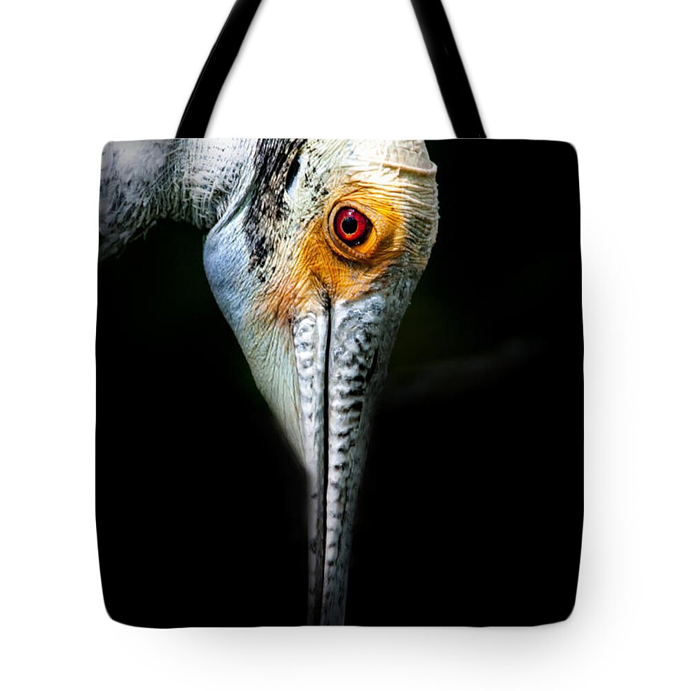 Roseate Spoonbill Tote Bag featuring the photograph Got My Eye On You by Ghostwinds Photography