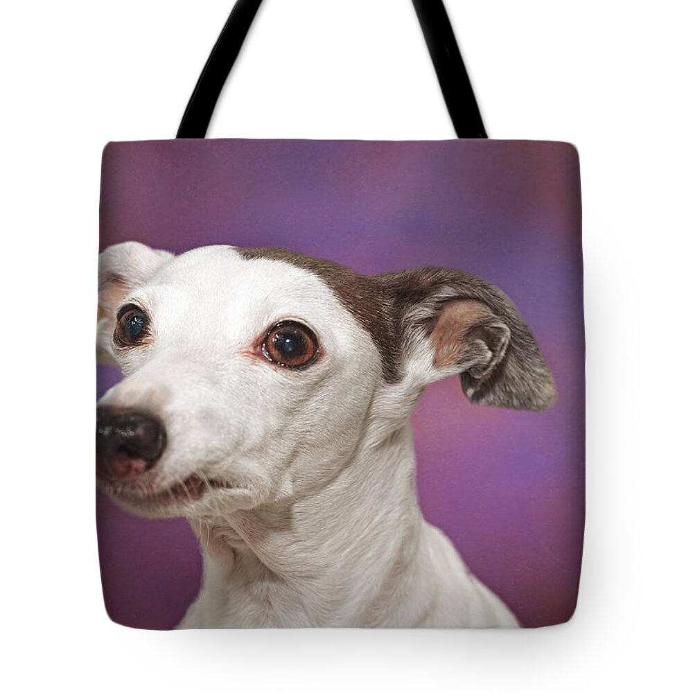 Animal Tote Bag featuring the photograph Gracie by Brian Cross