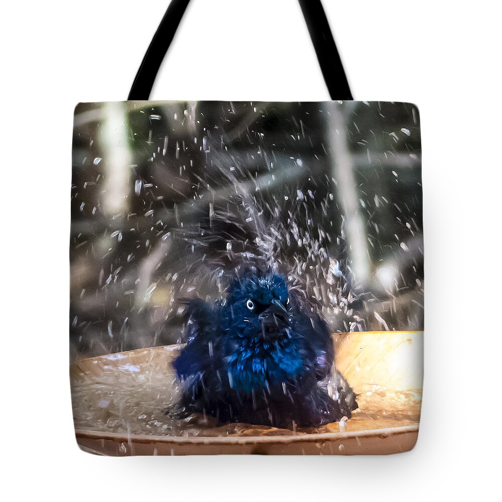 Grackle Tote Bag featuring the photograph Grackle Bath by Frank Winters
