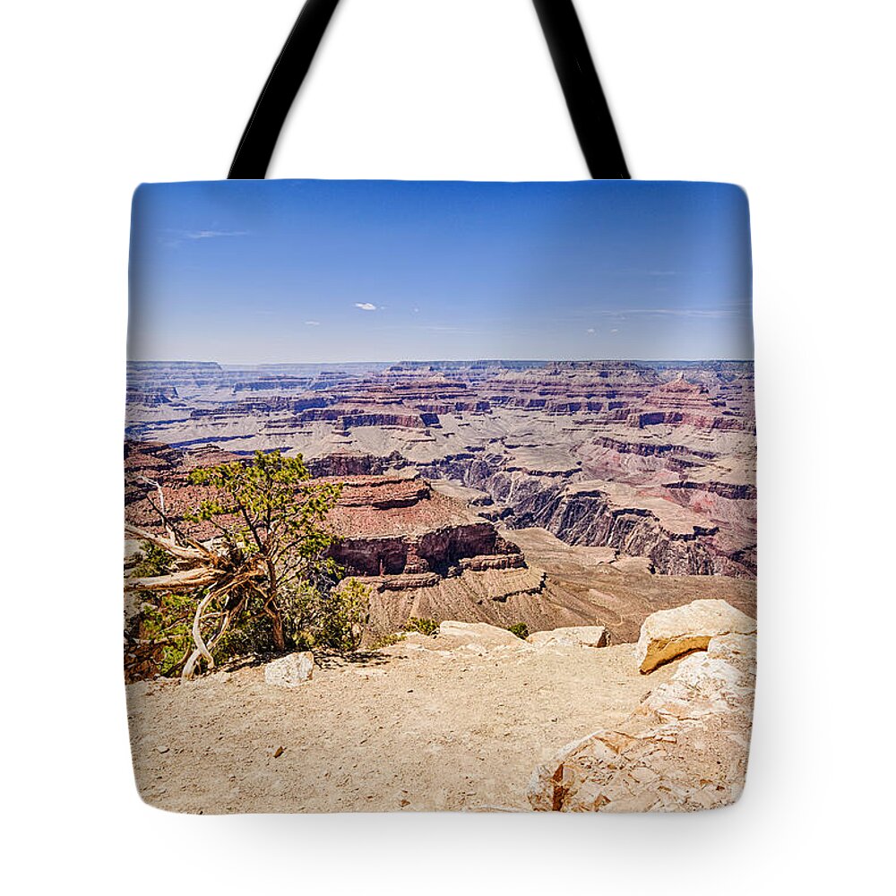 Grand Canyon Tote Bag featuring the photograph Grand Canyon 1 by Brett Engle