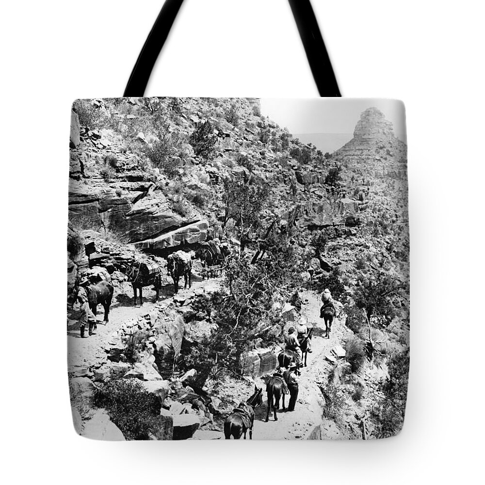 1920 Tote Bag featuring the photograph Grand Canyon, 1920 by Granger