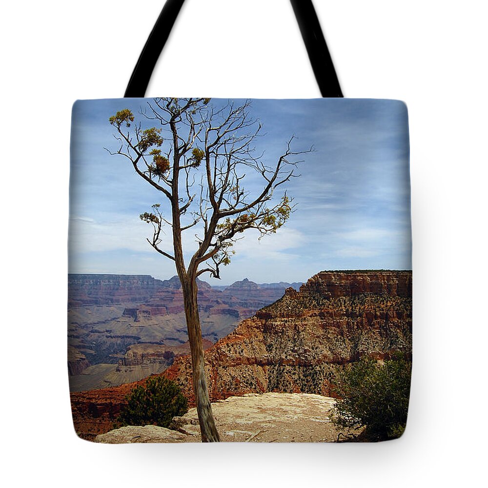 Grand Canyon Tote Bag featuring the photograph Grand Canyon Rim View by Debra Thompson