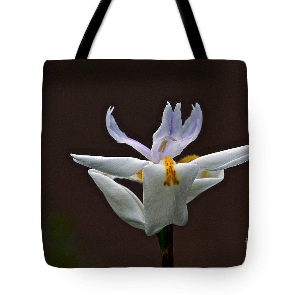 Dietes Grandiflora Tote Bag featuring the photograph Grand Jete by Byron Varvarigos