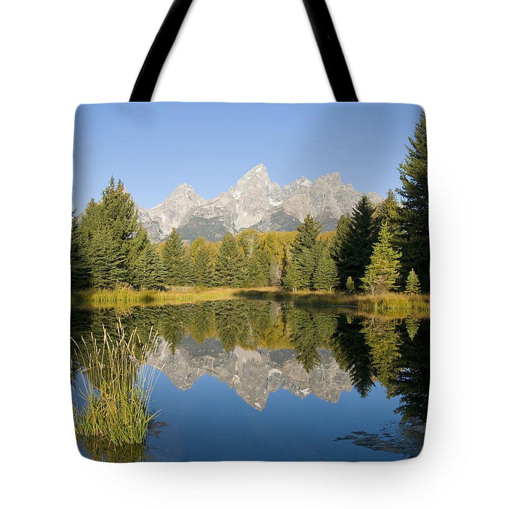 535862 Tote Bag featuring the photograph Grand Tetons At Schwabacher Landing by Steve Gettle