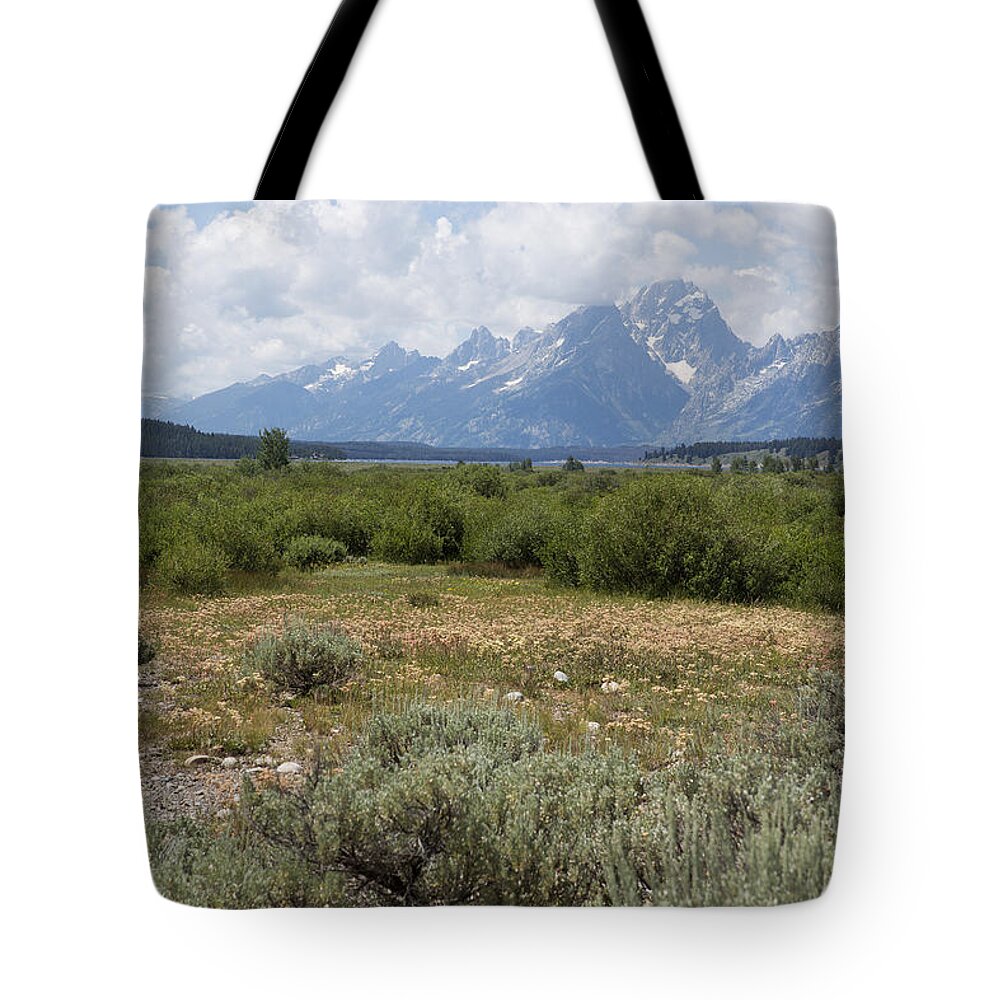 Willow Flats Tote Bag featuring the photograph Grand Tetons from Willow Flats by Belinda Greb
