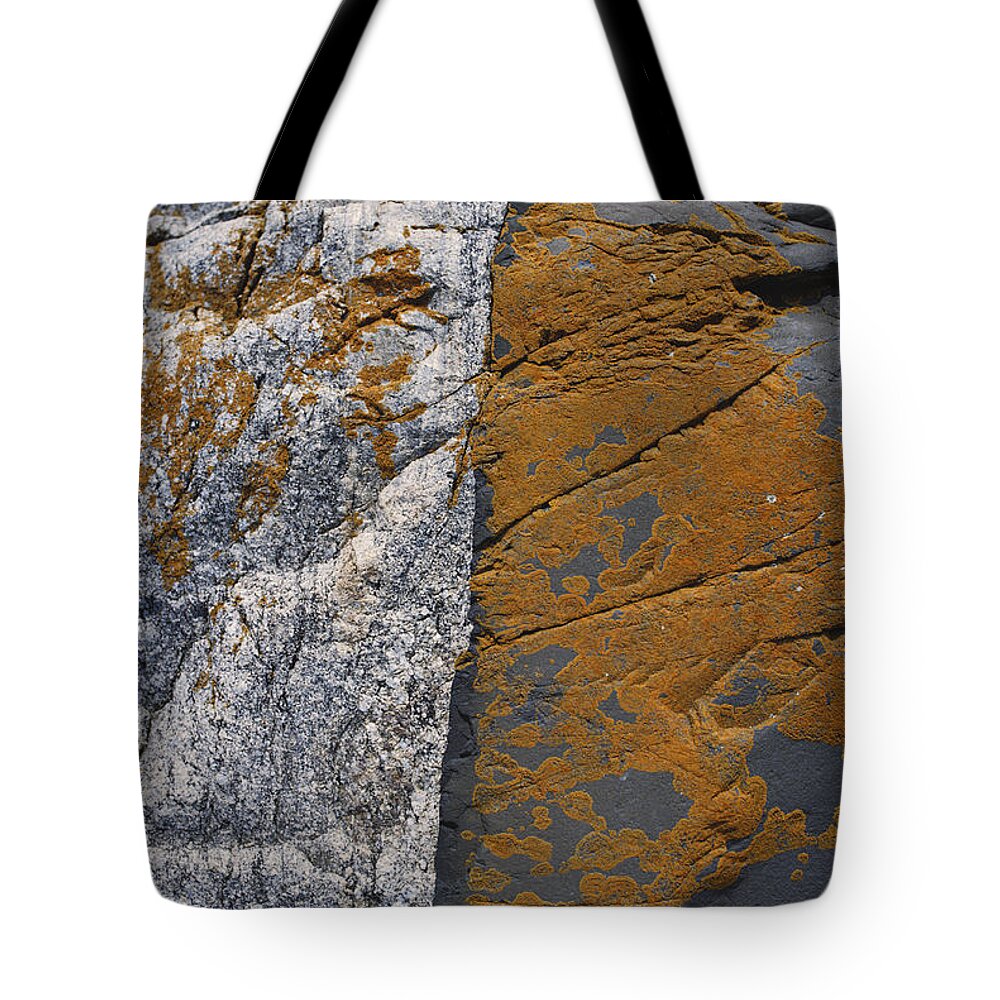 Close-up Tote Bag featuring the photograph Granite And Diabase by Carleton Ray