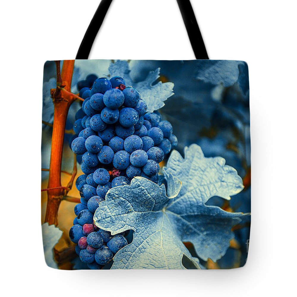 Blue Tote Bag featuring the photograph Grapes - Blue by Hannes Cmarits