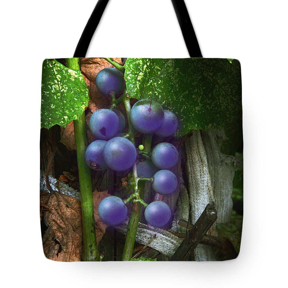 2d Tote Bag featuring the photograph Grapes On The Vine by Brian Wallace