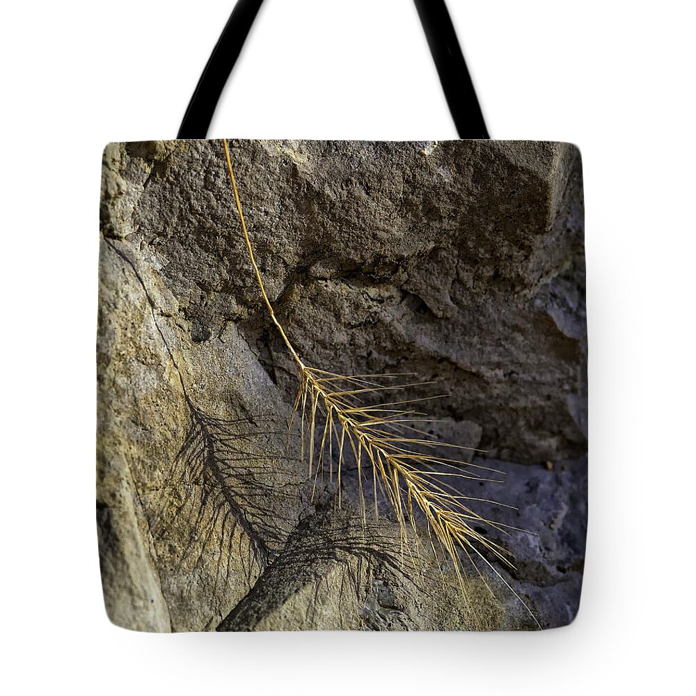 Grass Tote Bag featuring the photograph Grass and Shadow on River Rock by Michael Dougherty