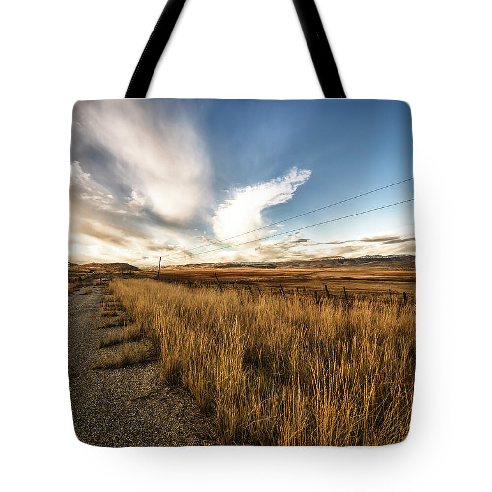 Road Tote Bag featuring the photograph Grass Growing Along A Gravel Road by Marg Wood