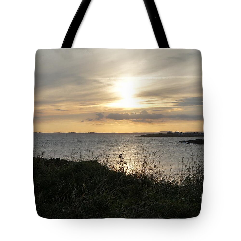 Sunset In Eli Tote Bag featuring the photograph Grass in the setting sun by Elena Perelman
