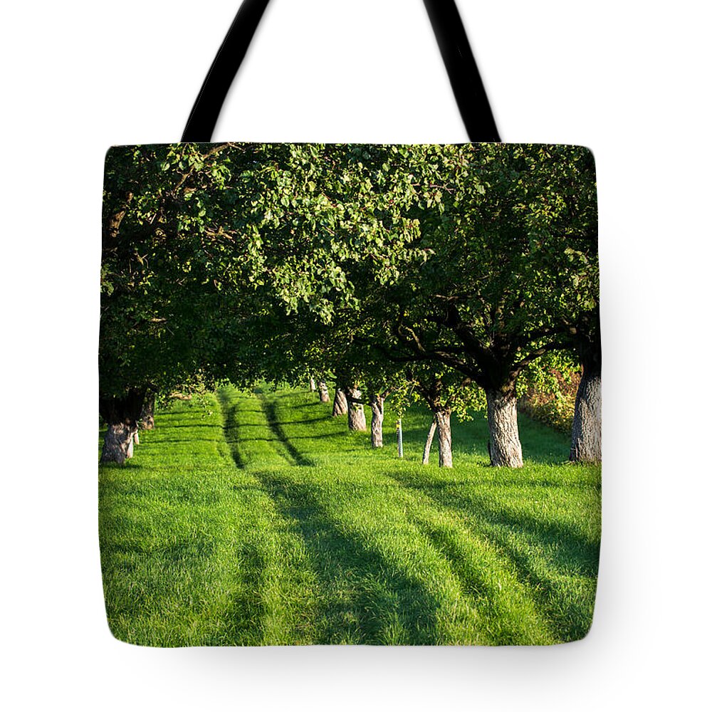 Alley Tote Bag featuring the photograph Grassy Street Through Alley by Andreas Berthold
