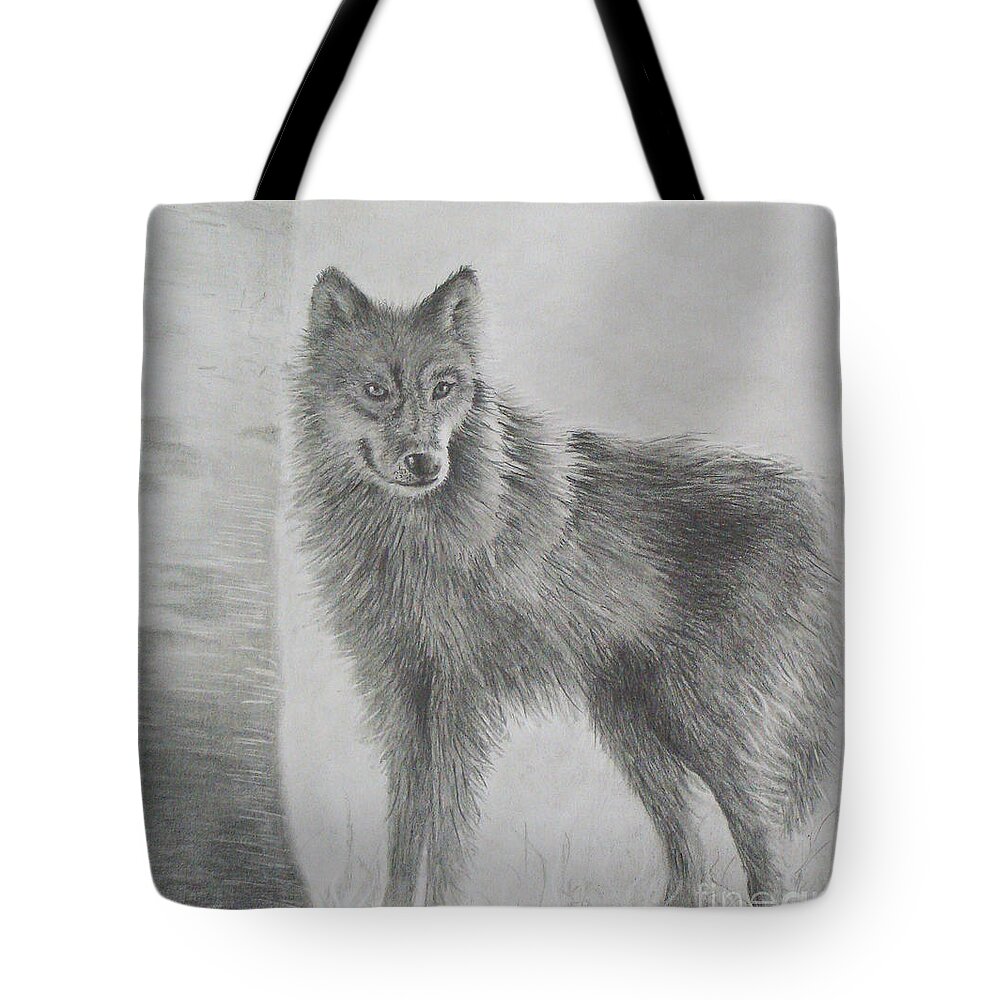 Wolf Tote Bag featuring the drawing Gray Wolf by Phyllis Howard