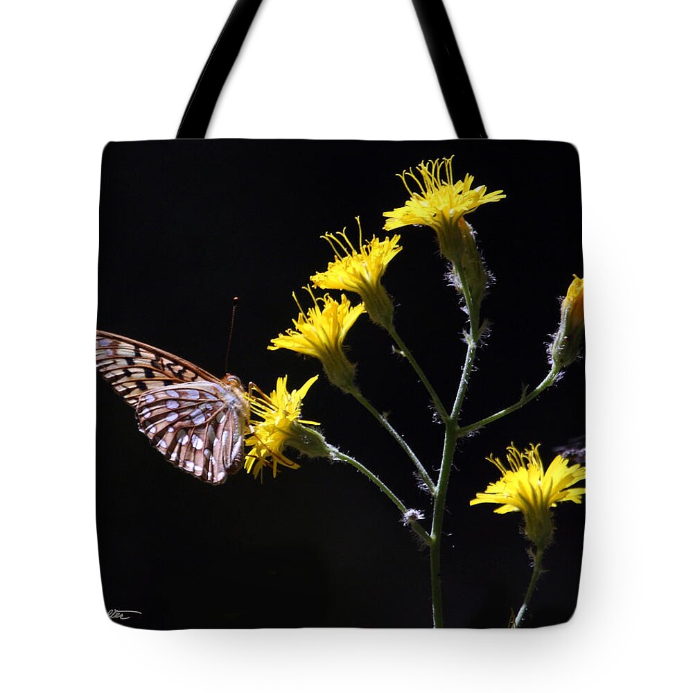 Nature Tote Bag featuring the photograph Great Basin Fritillary by Stephanie Salter