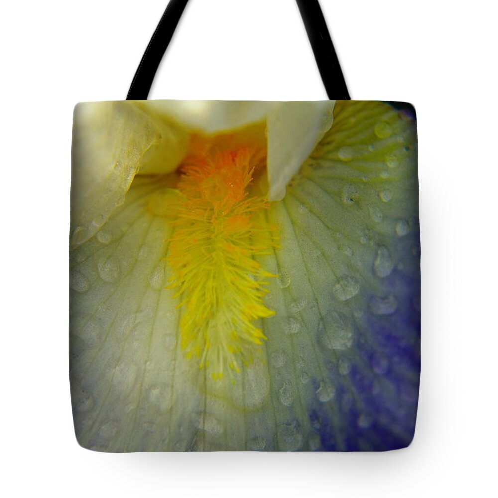 Water Drops Tote Bag featuring the photograph Great Beauty In Tiny Places by Jeff Swan