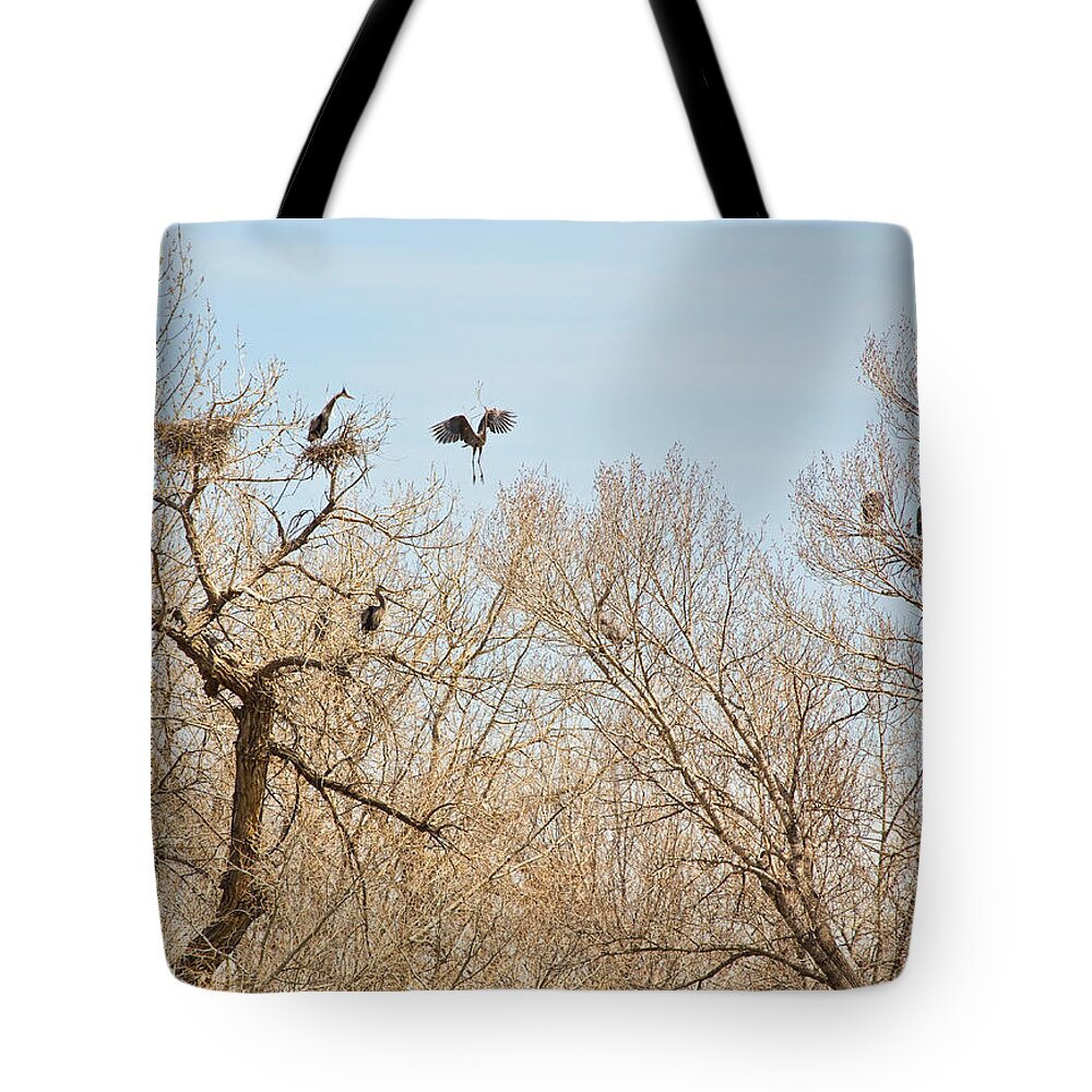 Great Blue Heron Tote Bag featuring the photograph Great Blue Heron Nest Building 1 by James BO Insogna