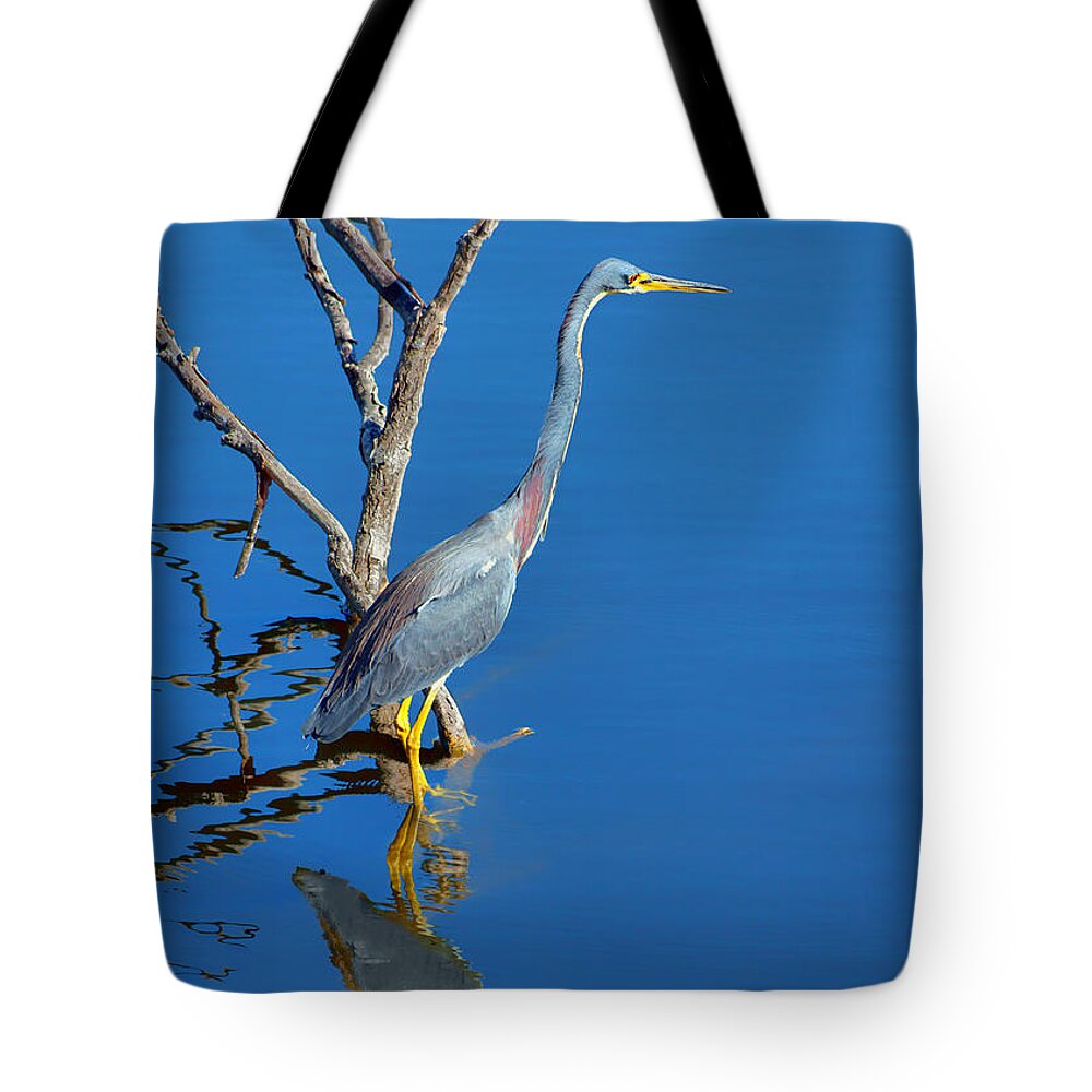 Herons Tote Bag featuring the photograph Tricolored Heron by Nikolyn McDonald