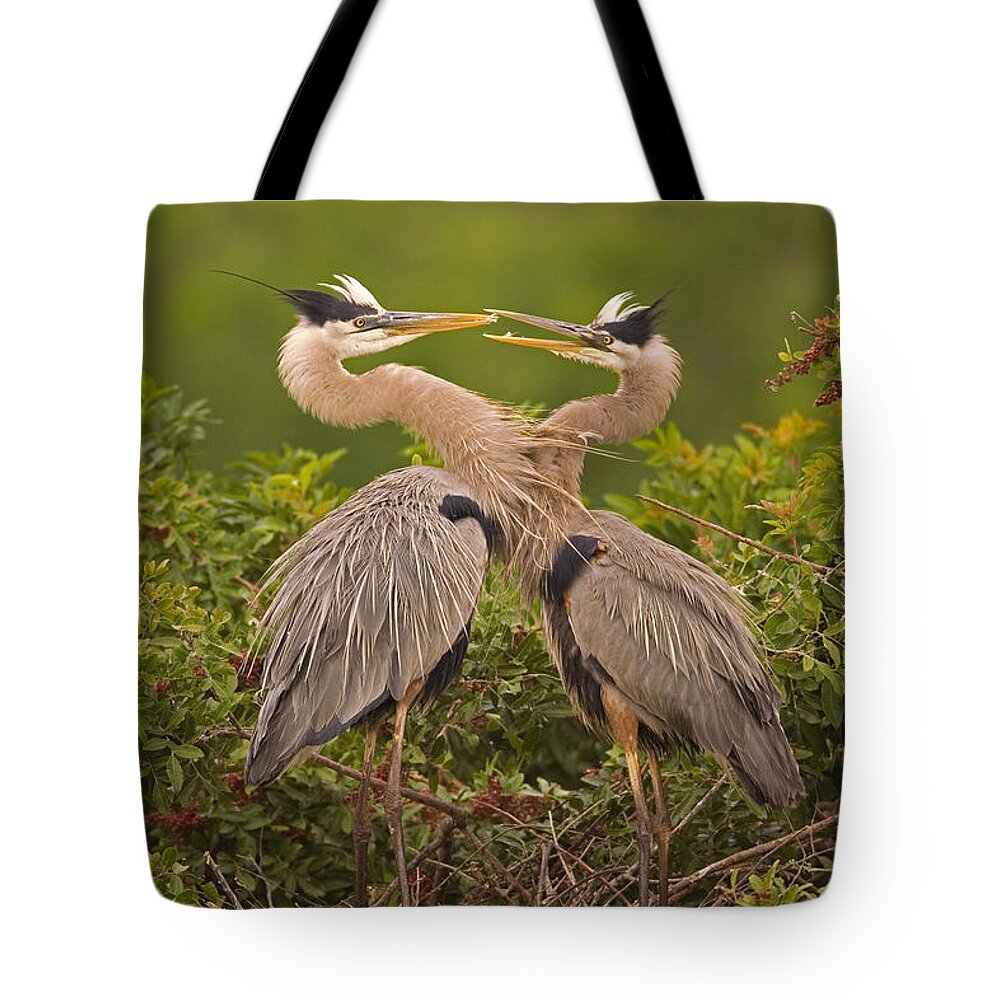 Feb0514 Tote Bag featuring the photograph Great Blue Herons On Nest Florida by Tom Vezo