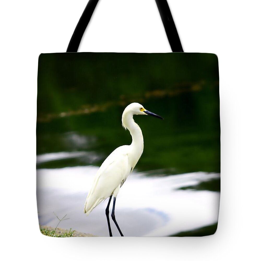  Tropical Tote Bag featuring the photograph Great Egret by Debra Forand