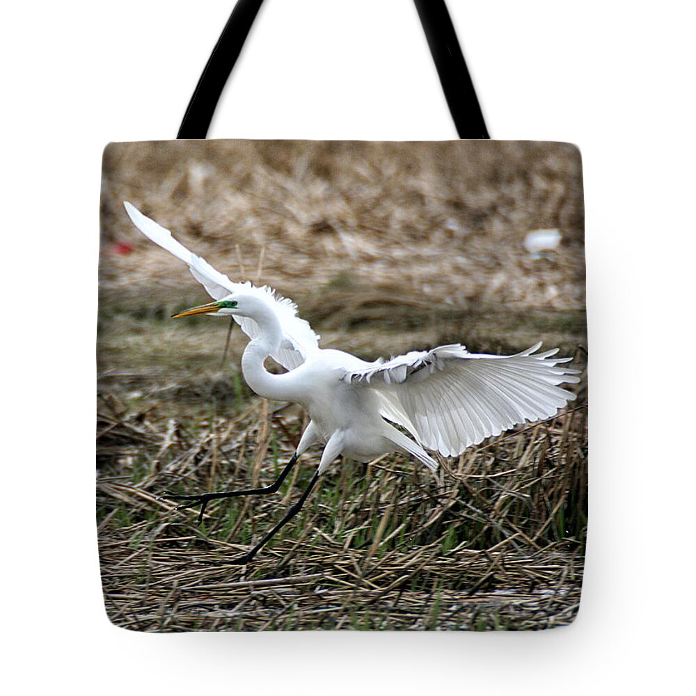 Wildlife Tote Bag featuring the photograph Great Egret Landing by William Selander