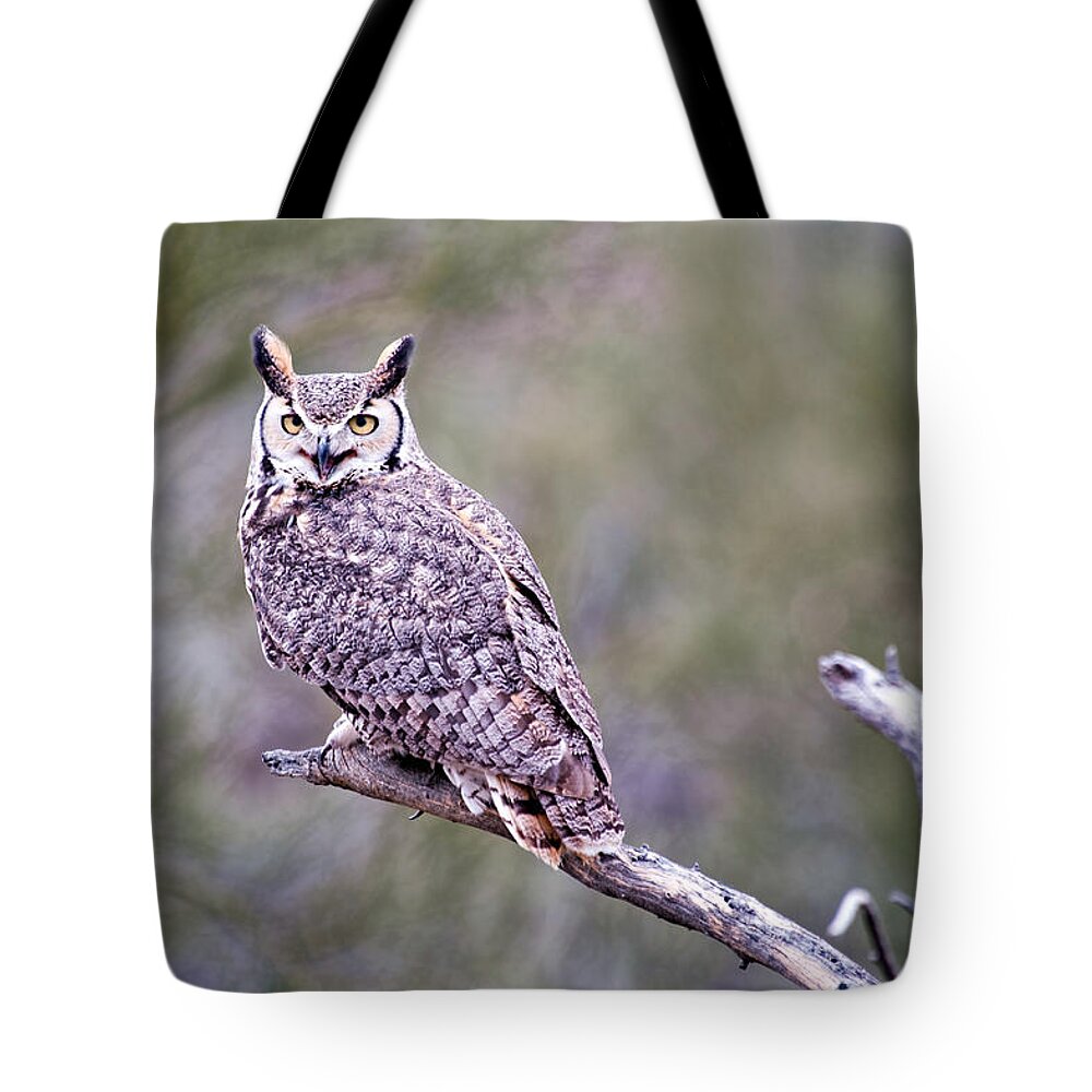 Arizona Tote Bag featuring the photograph Great Horned Owl by Dan McManus