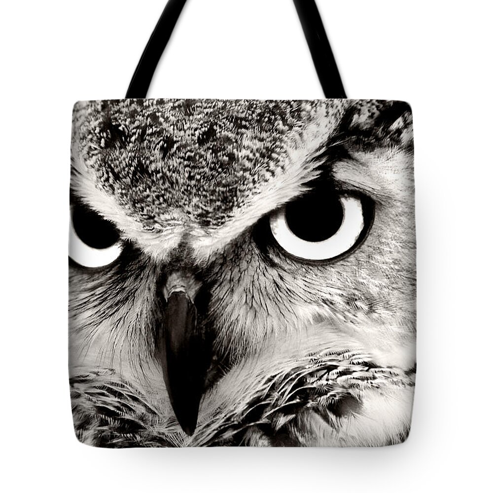 Great Horned Owls Tote Bag featuring the photograph Great Horned Owl in Black and White by Jill Lang