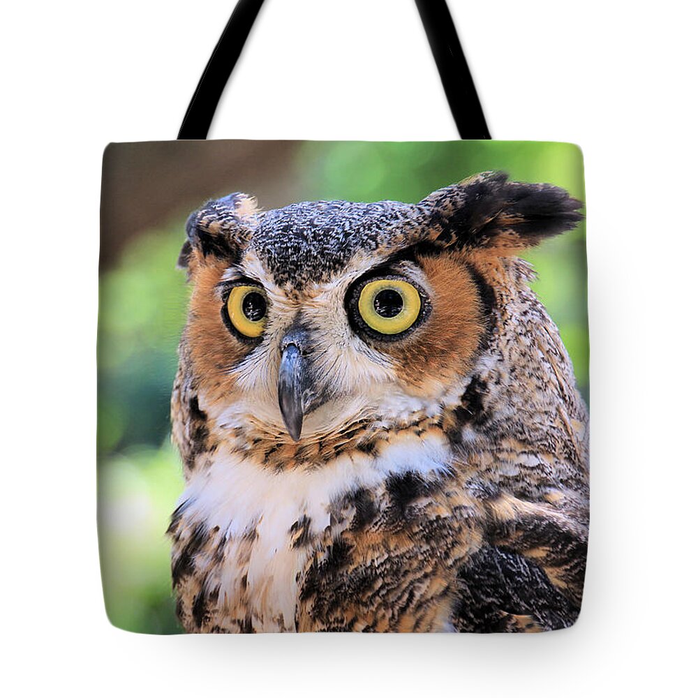 Bird Tote Bag featuring the photograph Great Horned Owl by Rosalie Scanlon