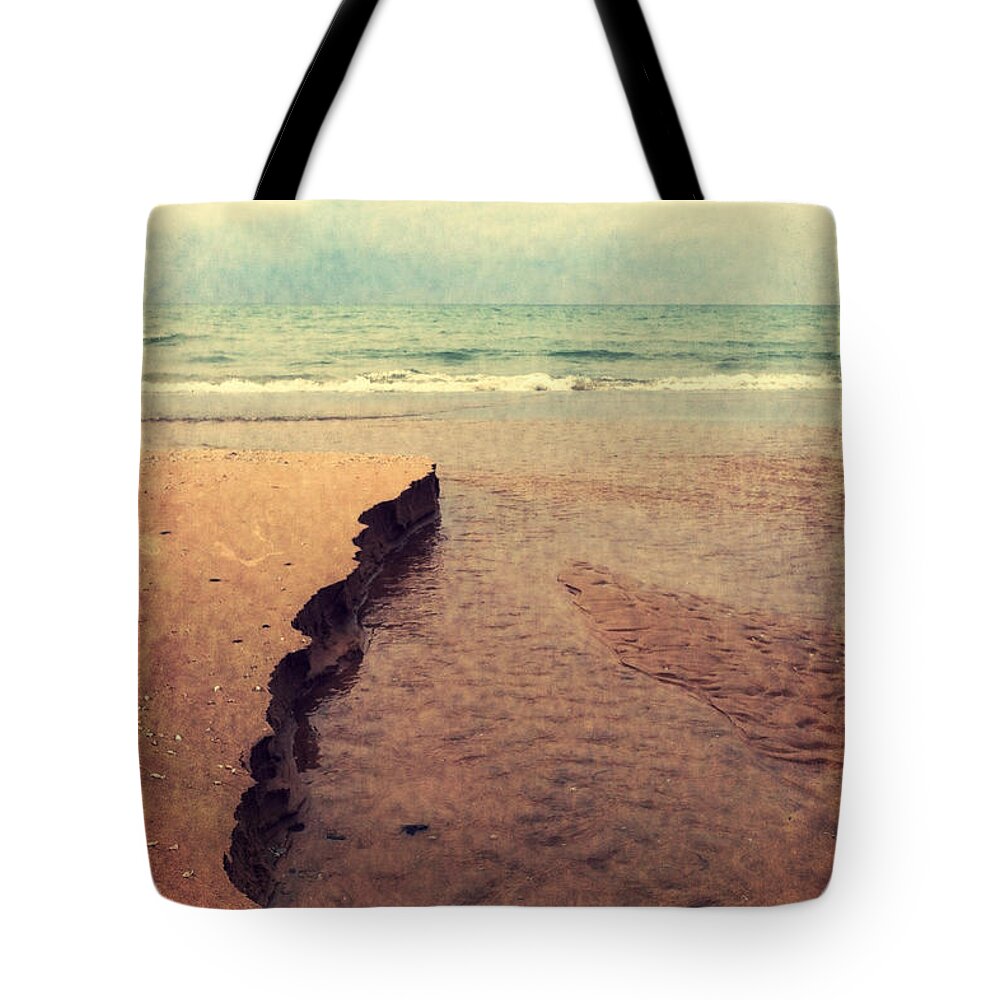 Great Lakes Tote Bag featuring the photograph Great Lakes Great Times by Michelle Calkins