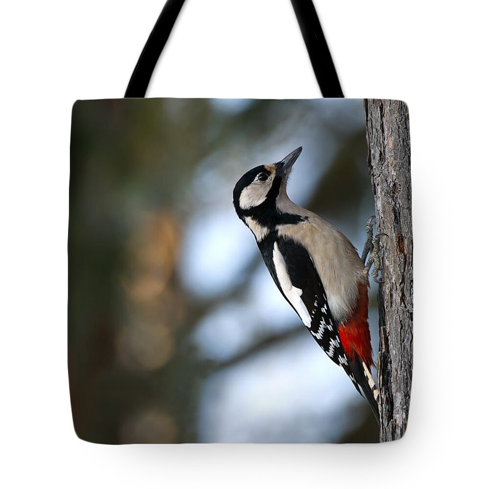 Great Spotted Woodpecker Tote Bag featuring the photograph Great Spotted Woodpecker by Torbjorn Swenelius