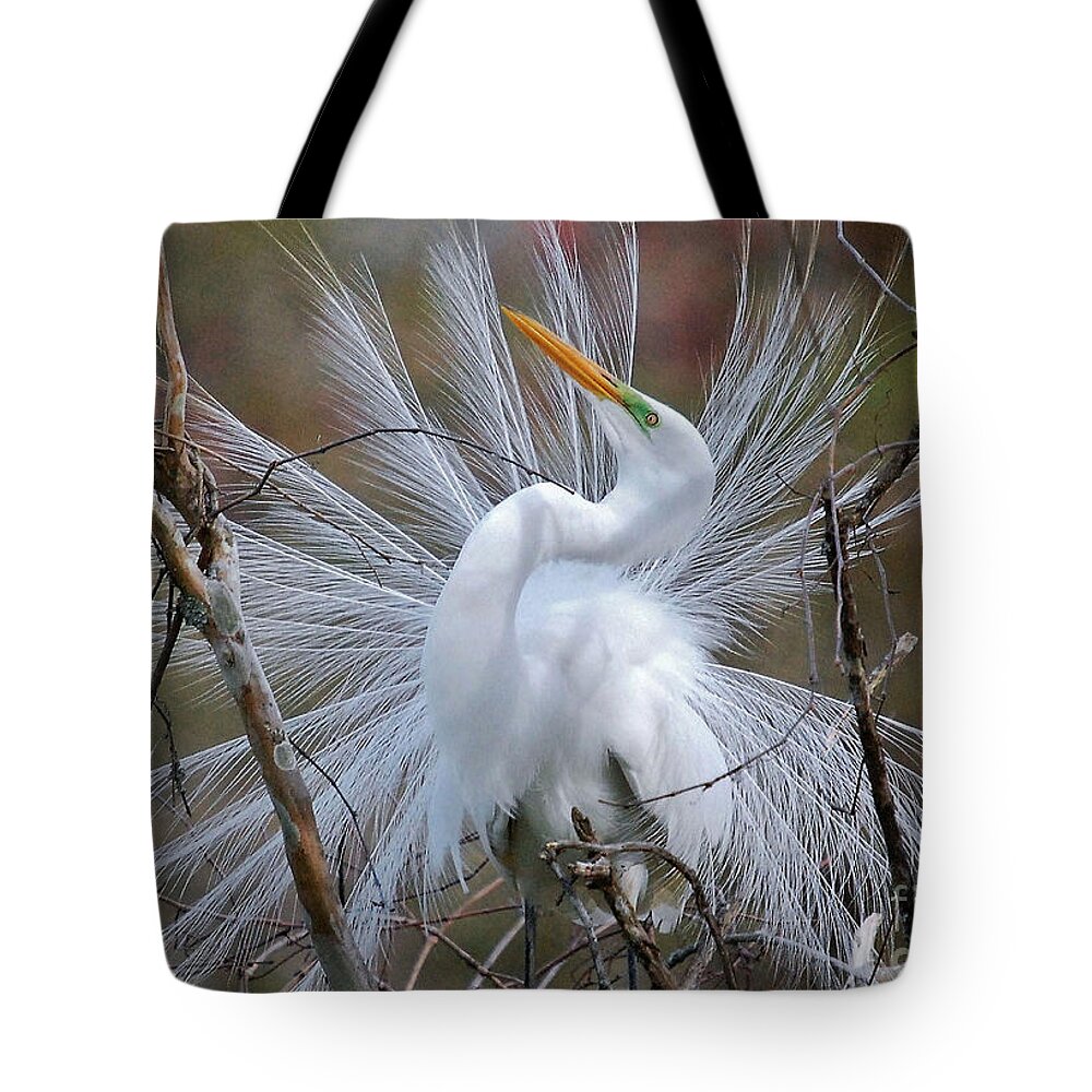 Birds Tote Bag featuring the photograph Great White Egret With Breeding Plumage by Kathy Baccari