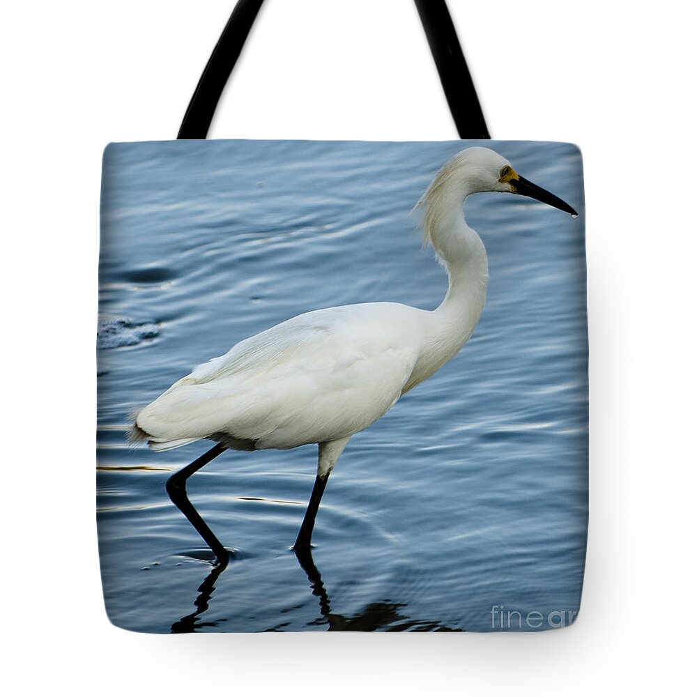 White Heron Tote Bag featuring the photograph Chicken Strut by Dale Powell