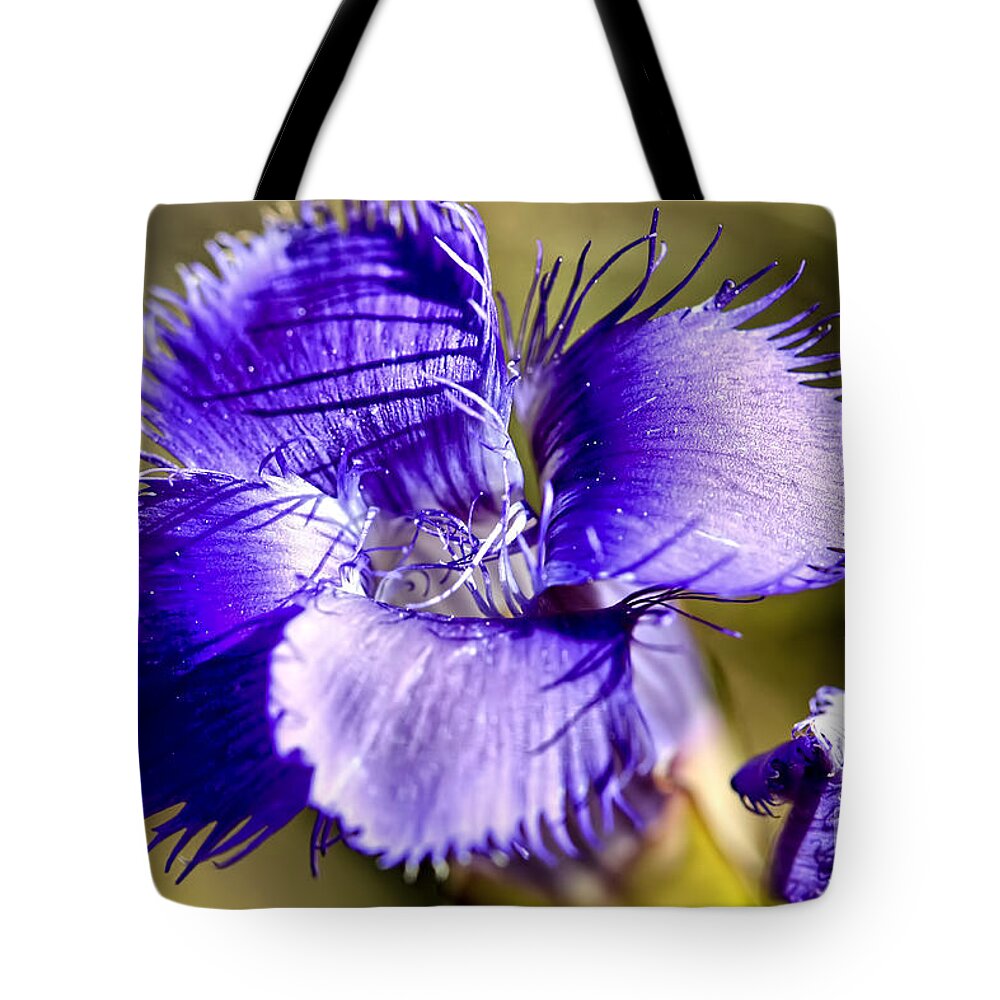 Greater Fringed Gentian Tote Bag featuring the photograph Greater Fringed Gentian by Teresa Zieba