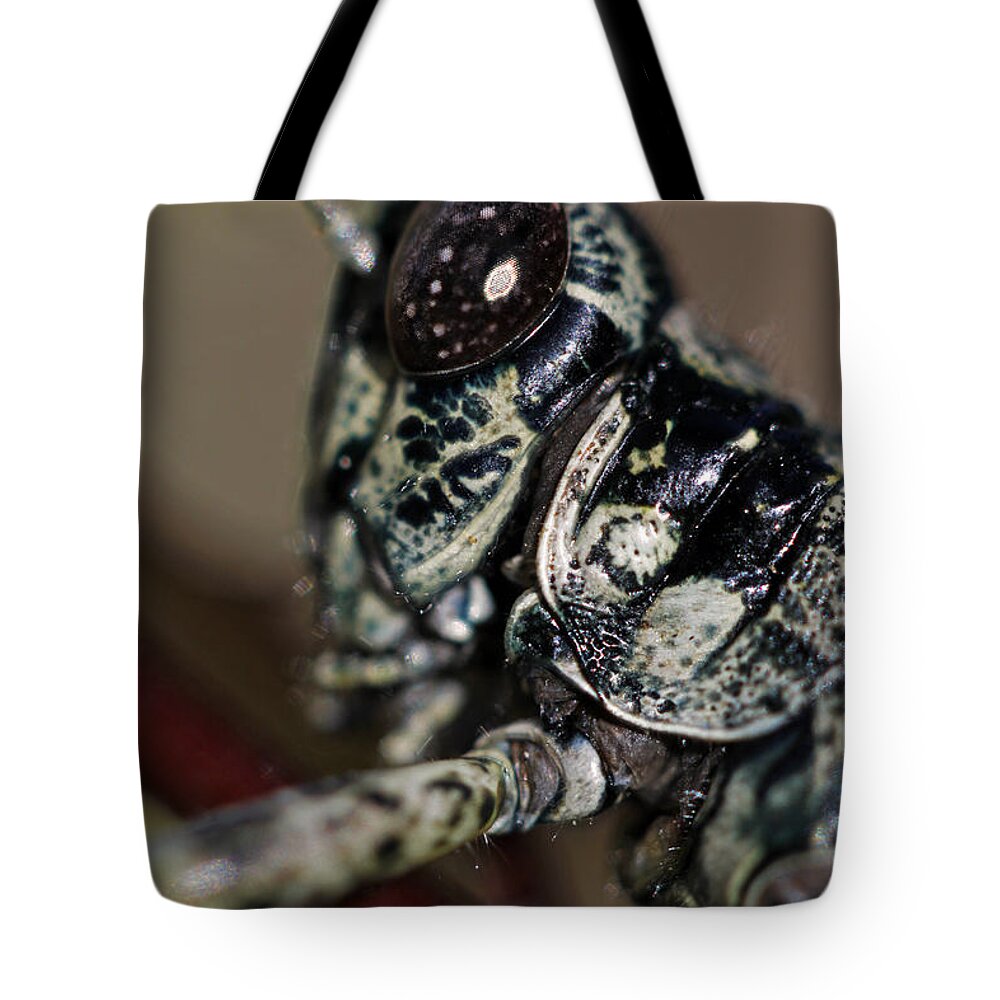 Insects Tote Bag featuring the photograph Green armor by Jennifer Robin