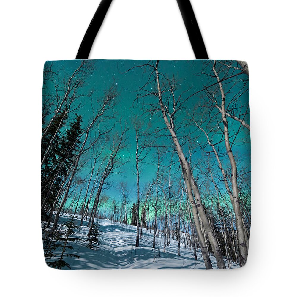 Above Tote Bag featuring the photograph Green bands of Northern Lights over winter taiga by Stephan Pietzko