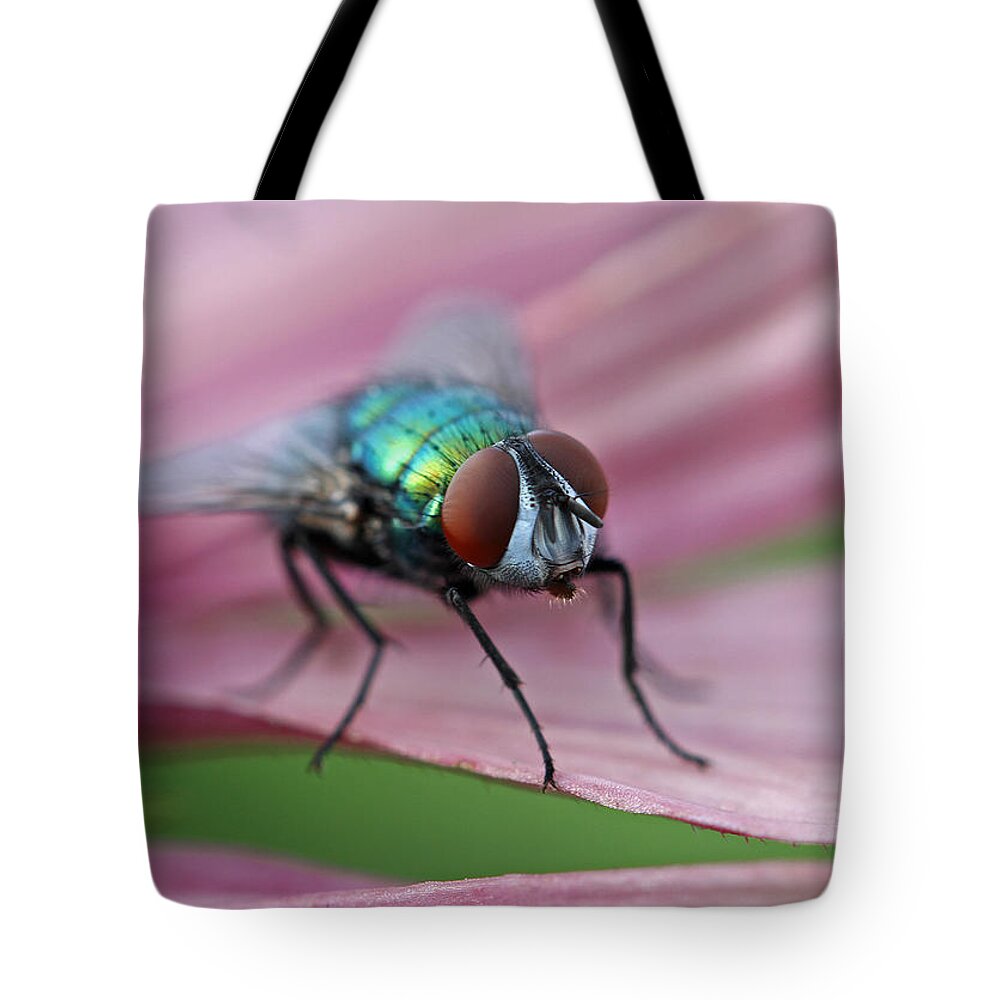 Fly Tote Bag featuring the photograph Green Bottle Fly by Juergen Roth