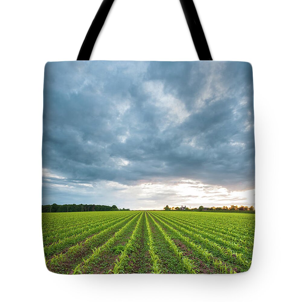 England Tote Bag featuring the photograph Green Crop Field Sunset by Chrishepburn