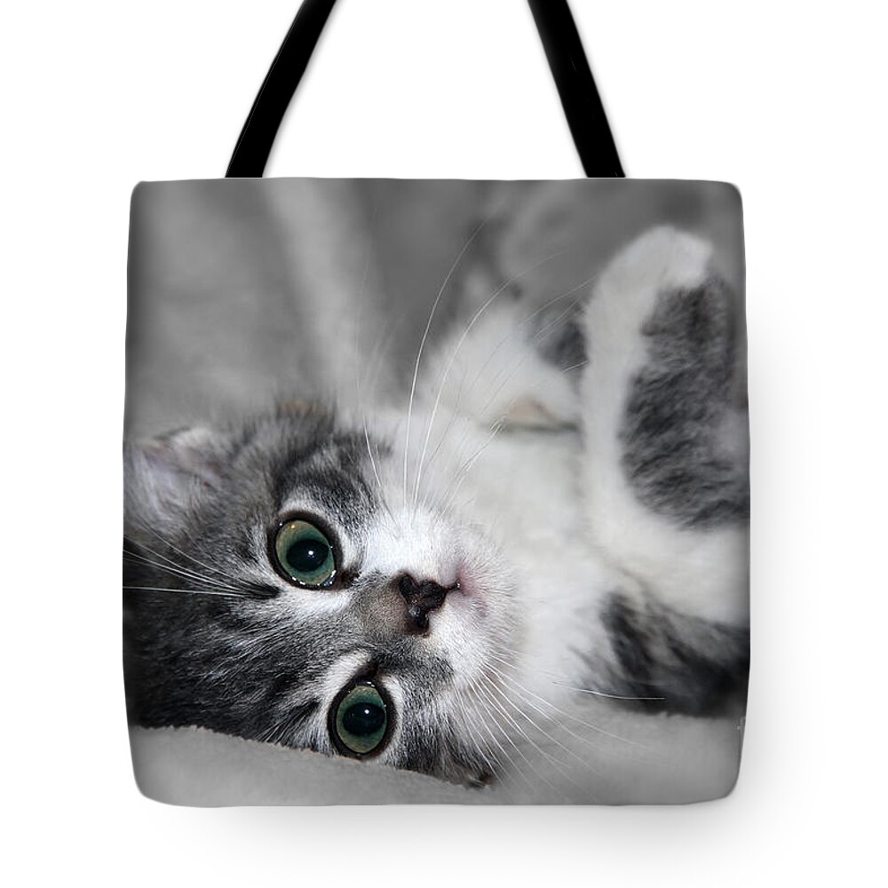 Animal Tote Bag featuring the photograph Green Eyed Kitten by Teresa Zieba