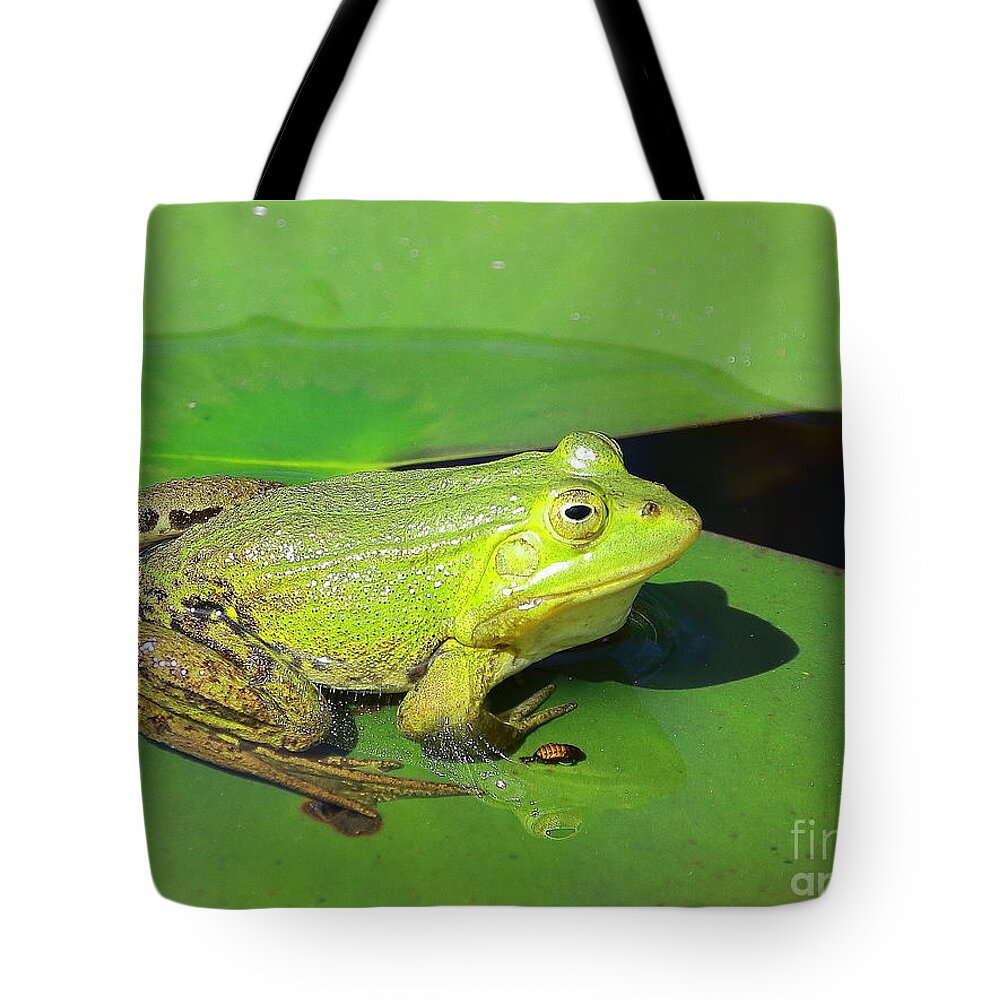 Frogs Tote Bag featuring the photograph Green Frog by Amanda Mohler