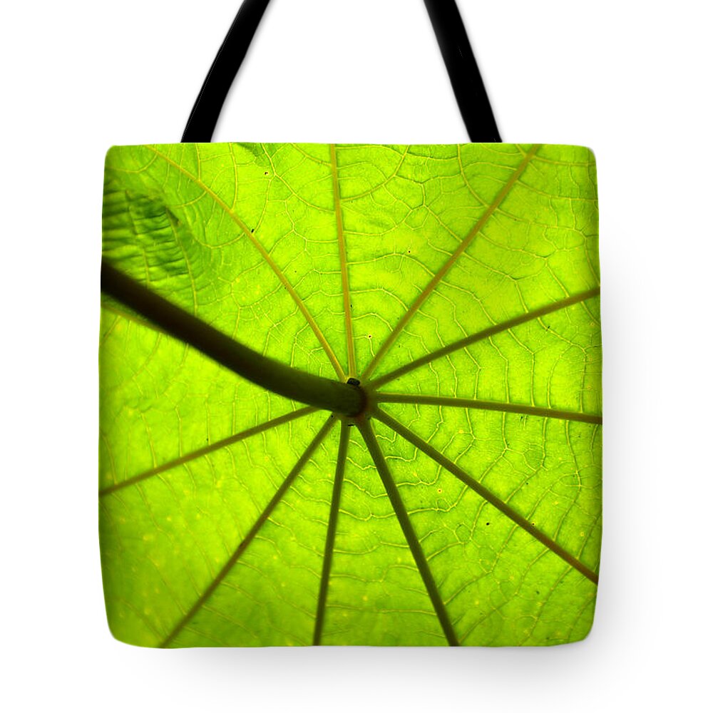 Green Tote Bag featuring the photograph Green growth by David Lee Thompson