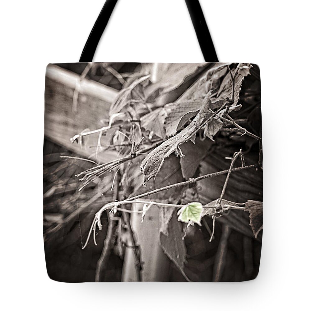 Foliage Tote Bag featuring the photograph Green Leaf by Ella Kaye Dickey