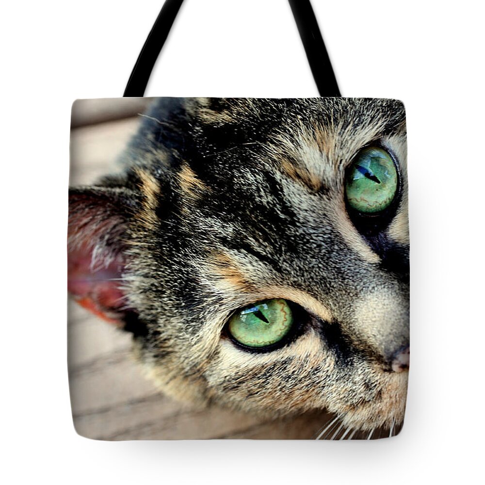 Feline Tote Bag featuring the photograph Green Pepper by Andrea Platt