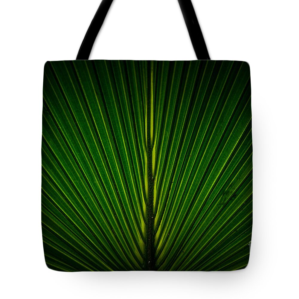 Green Tote Bag featuring the photograph Green by Ronald Grogan